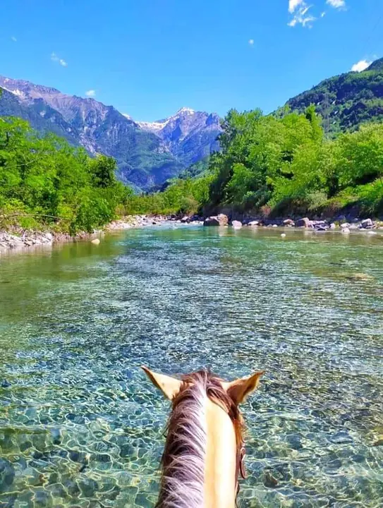 Il cavallo entra nell'acqua cristallina del fiume