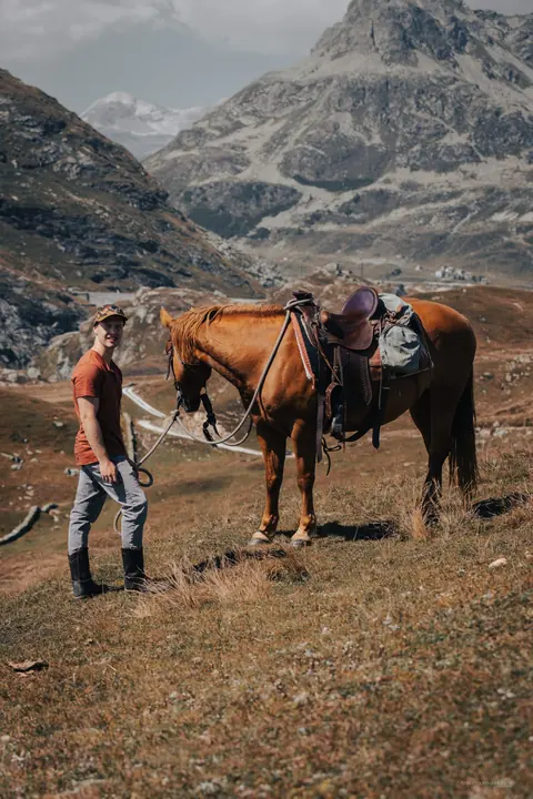 Cavallo sellato tra le montagne d'alta quota