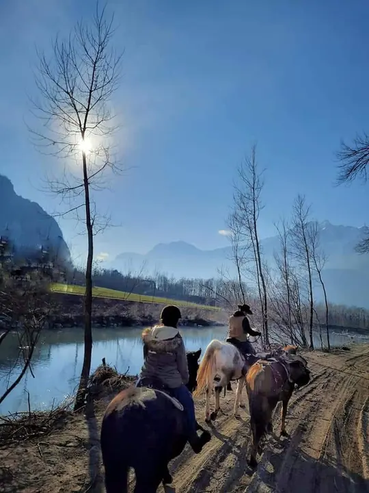 Passeggiata sulla riva del lago d'inverno