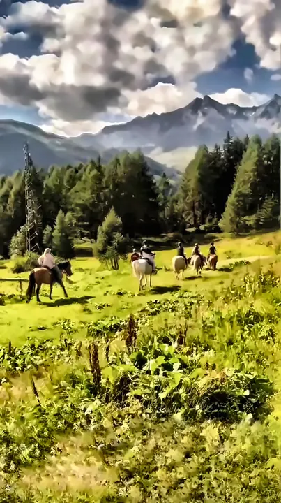Il gruppo attraversa la prateria alpina