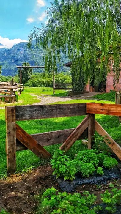 L'ingresso verde del ranch