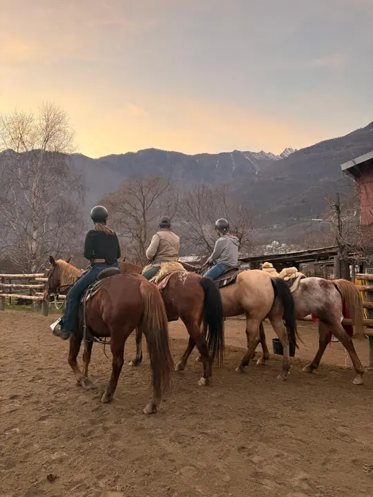 Cavalieri nel recinto al tramonto